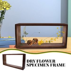 Dried Flowers Photo Frame Wood Vintage Glass Artwork Pressed Flower Display Frame Plant Specimen Herbarium Clip Photo Frame