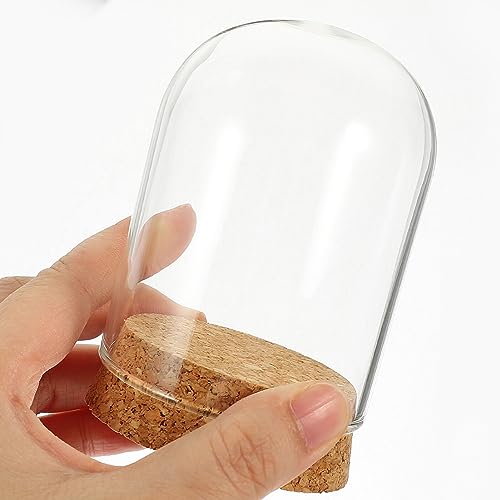 GANAZONO 2Sets Glass Display Dome Cloche Tabletop Display Case with Cork Base DIY Snow Globe for Office Home Halloween Christmas Wedding Tabletop Centerpiece Decoration