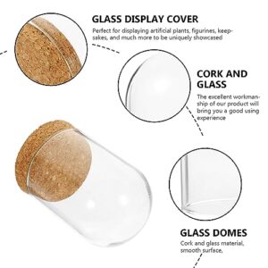 GANAZONO 2Sets Glass Display Dome Cloche Tabletop Display Case with Cork Base DIY Snow Globe for Office Home Halloween Christmas Wedding Tabletop Centerpiece Decoration