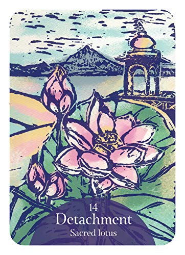 The Language of Flowers Oracle: Sacred botanical guidance and support (44 Full-Color Cards and 144-Page Guidebook) (Rockpool Oracle Card Series)