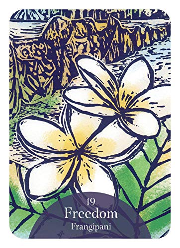 The Language of Flowers Oracle: Sacred botanical guidance and support (44 Full-Color Cards and 144-Page Guidebook) (Rockpool Oracle Card Series)