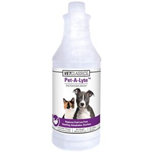 Vet Classics Pet-A-Lyte Oral Electrolyte Solution for Dogs and Cats – Helps Replace Fluids Lost From Pet Dehydration, Diarrhea, Vomiting – Replaces Dog Electrolytes – 32 Oz.