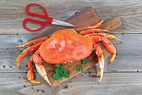 Maine Man Crab Seafood Scissors, Japanese Stainless Steel Blades, 6.25-Inches x 3.25-Inches