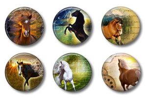 cute locker magnets for teens - horse magnets - school supplies - whiteboard office or fridge - funny magnet gift set (horses)