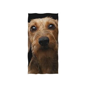 alaza microfiber gym towel dachshund dog, fast drying sports fitness sweat facial washcloth 15 x 30 inch