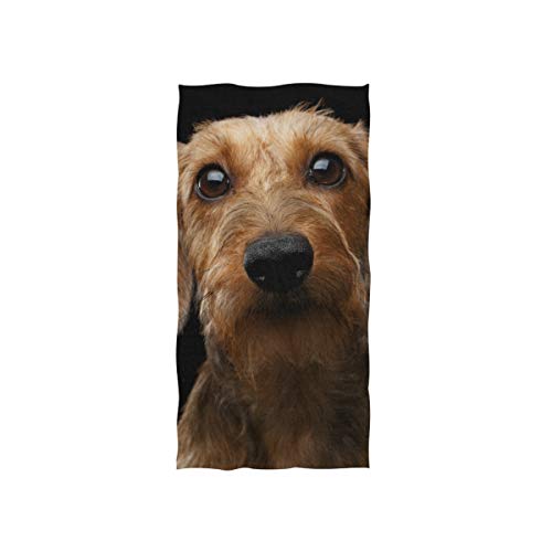 ALAZA Microfiber Gym Towel Dachshund Dog, Fast Drying Sports Fitness Sweat Facial Washcloth 15 x 30 inch