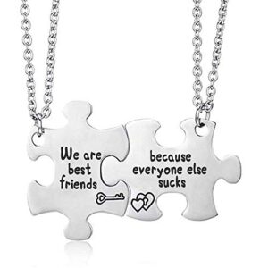 MJartoria Best Friend Necklaces, Friendship Necklace Puzzle Piece Necklaces Set Gifts for Women Teens BFF Necklace for 2 (we are best friend because everyone else ...)