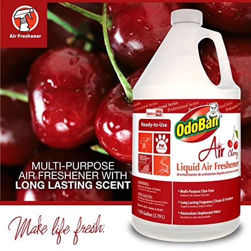 OdoBan Professional Series Ready-to-Use Air Cherry Liquid Air Freshener, 2-Pack, 1 Gallon Each, Cherry Scent