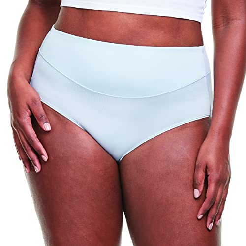 Hanes womens Signature Smooth Women's Microfiber Underwear 6-pack Briefs, Assorted, 7 US