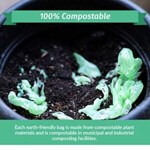 Reli. Compostable 6-8 Gallon Trash Bags | 100 Count | ASTM D6400 | Green | Eco-Friendly | For Compost