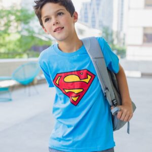 DC Comics Justice League The Flash Superman Batman Little Boys 3 Pack T-Shirts Red/Gray/Blue 7-8