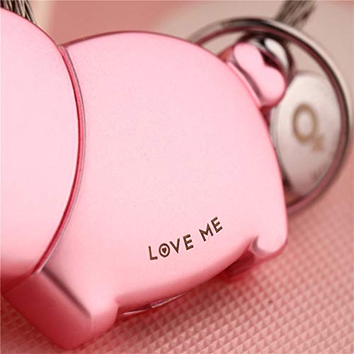 MILESI Custom Personalized Kiss Pig Couple Keychain with Magnetic Cute Couple Gift Valentine's Present(silver-lightgold)