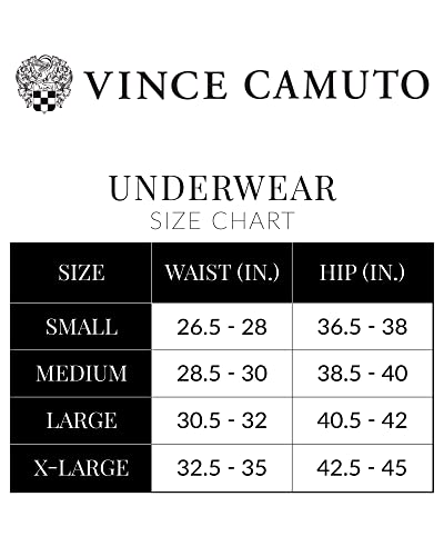 Vince Camuto Women's Underwear ? Seamless Lace Hipster Briefs (3 Pack), Size Medium, Black/Soft Violet/Taupe