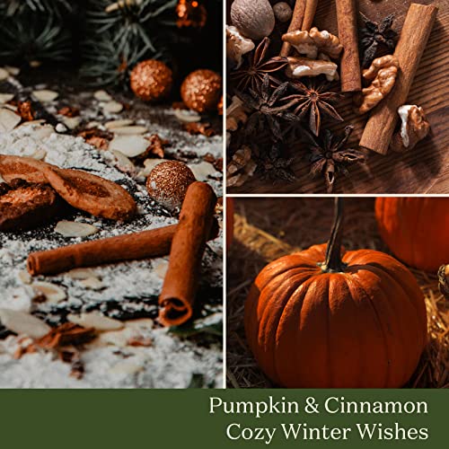 LA JOLIE MUSE Pumpkin Cinnamon Candle, Fall Candle, Travel Tin Holiday Candle, 45 Hours Burning Time, Small Candle Gift for Autumn