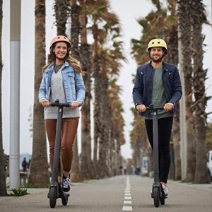 Segway Ninebot E22 E45 Electric Kick Scooter, Lightweight and Foldable, Upgraded Motor Power, Dark Grey Large