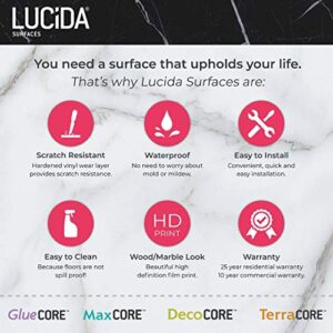 Lucida Surfaces Luxury Vinyl Flooring Tiles | Glue-Down Adhesive Flooring for DIY Installation | 18 Stone-Look Planks | GlueCore+ | 36 Sq. Feet (Box of 18 Tiles, Riverock)