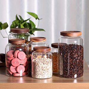 Large Glass Jar with Airtight Lid Set of 2 93 FL OZ(2750ml) glass canister set, Glass Food Containers Wooden Lid Suit for Kitchen Pantry for Flour, Tea, Coffee Beans, Sugar, Cookies(8.8 inch high)