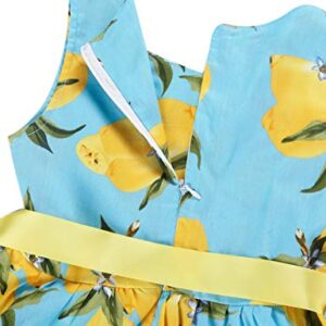 PrinceSasa Lemon Birthday Toddler Girl Clothes Cotton Dresses for Girls,E27,7-8 Years(Size 140)