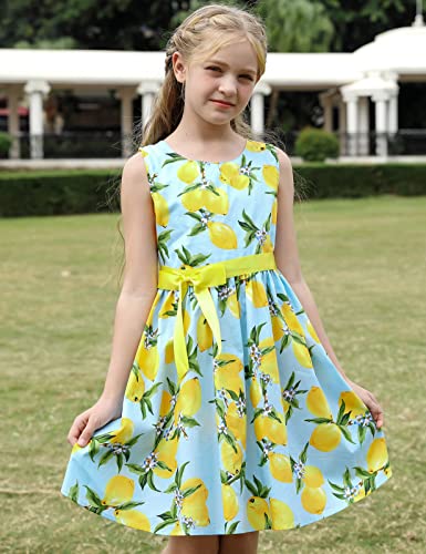 PrinceSasa Lemon Birthday Toddler Girl Clothes Cotton Dresses for Girls,E27,7-8 Years(Size 140)