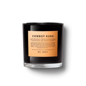 Cowboy Boy Smells Candle | 50 Hour Long Burn | Coconut & Beeswax Blend | Luxury Scented Candles for Home (8.5 oz)