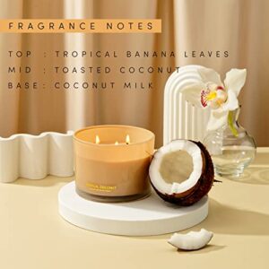 96NORTH Luxury Coconut Soy Candle | Large 3 Wick Jar Candle | Up to 50 Hours Burning Time | Tropical Beach Scented Candles for Home | 100% Natural Soy Wax | Housewarming Gift for Women and Men