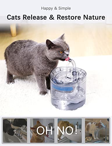 HAPUP Cat Water Fountain Animal Water Dispenser 61OZ/1.8L Automatic Pet Drinking Fountain Clear Upgrade with 2 Filter Replacement 1 Adjustable Silent 1 Water Pump for Cats Kitty Indoor