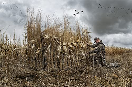 Avian-X G-Blind 4-Person Hunting Blind | Unique G-Shaped Frame Waterfowl Blind in Mossy Oak Shadow Grass Habitats Camo