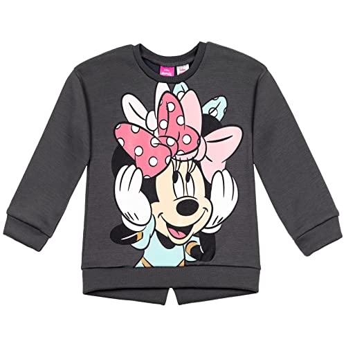 Disney Minnie Mouse Little Girls Fleece Pullover Sweatshirt Pants Set Gray 7-8