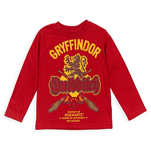 Harry Potter Gryffindor Hogwarts Little Boys 2 Pack T-Shirt Red/Grey 7-8