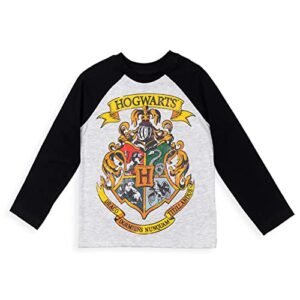 Harry Potter Gryffindor Hogwarts Little Boys 2 Pack T-Shirt Red/Grey 7-8