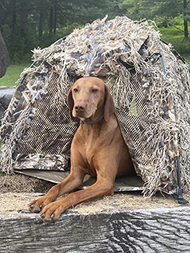 North Mountain Gear Popup Dog Blind - Wetland Camouflage