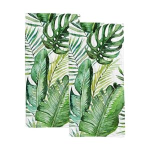 vantaso bath hand towels face terry towel washcloth couple bathroom set of 2 green tropical palm & fern leaves kitchen decor soft quick dry super absorbent 30 x 15 inch