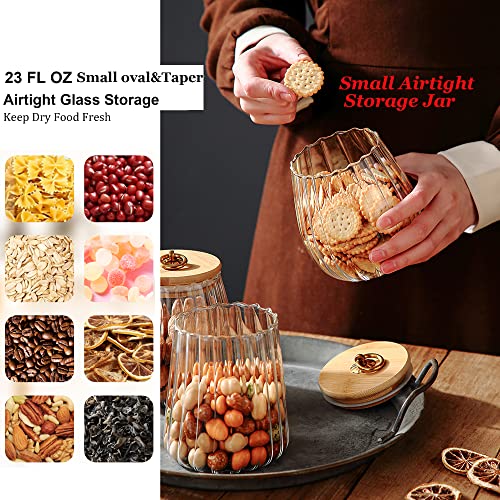 FANTESTICRYAN Small Glass Coffee Nuts Canister Airtight Storage Jar Petal Decorative Container with Bamboo Lid Metal Handle Easy to Grasp 700ml, 23 FL OZ (Set of 2)