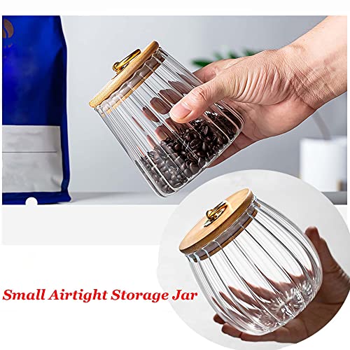 FANTESTICRYAN Small Glass Coffee Nuts Canister Airtight Storage Jar Petal Decorative Container with Bamboo Lid Metal Handle Easy to Grasp 700ml, 23 FL OZ (Set of 2)