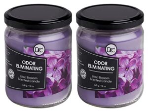 lilac blossom two pack odor eliminating highly fragranced candle - eliminates 95% of pet, smoke, food, and other smells quickly - up to 80 hour burn time - 12 ounce premium soy blend