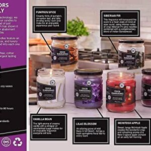 Lilac Blossom Two Pack Odor Eliminating Highly Fragranced Candle - Eliminates 95% of Pet, Smoke, Food, and Other Smells Quickly - Up to 80 Hour Burn time - 12 Ounce Premium Soy Blend