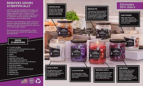 Lilac Blossom Two Pack Odor Eliminating Highly Fragranced Candle - Eliminates 95% of Pet, Smoke, Food, and Other Smells Quickly - Up to 80 Hour Burn time - 12 Ounce Premium Soy Blend