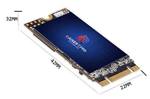 GAMERKING M.2 2242 SSD 256GB 3D NAND TLC SATA III 6 Gb/s, Internal Solid State Drive - Compatible with Desktop PC Laptop (2242 256GB)