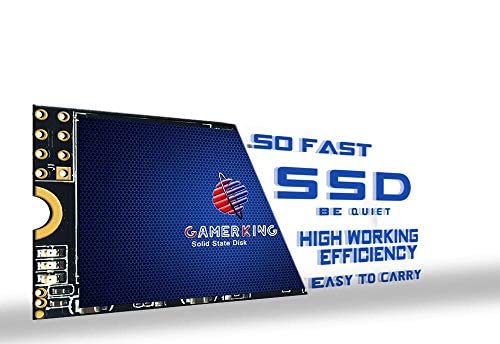 GAMERKING M.2 2242 SSD 256GB 3D NAND TLC SATA III 6 Gb/s, Internal Solid State Drive - Compatible with Desktop PC Laptop (2242 256GB)