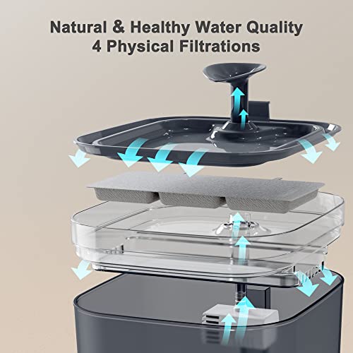 Petory Cat Water Fountain - Automatic Pet Water Fountain Cat Water Dispenser with Replacement Filters, 74oz/2.2L BPA-Free Water Fountain for Cats Inside with 2 Flow Modes