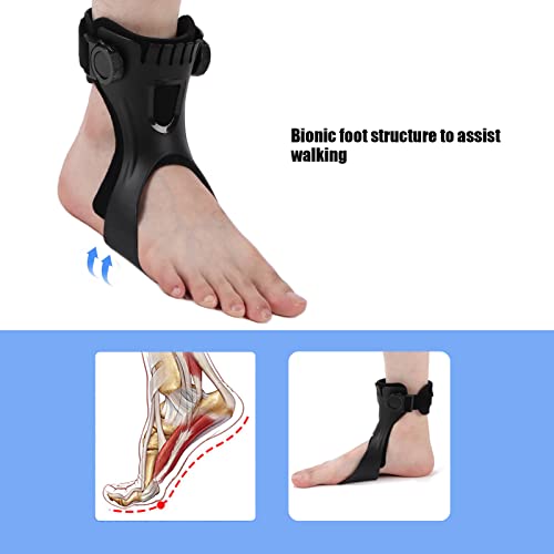 Drop Foot Brace Orthosis, Plantar Fasciitis Night Splint Drop Foot Orthotic Brace, Foot Drop Brace for Walking, Men and Women Adjustable Achilles Tendonitis Brace for Fascia(M-Right Foot)