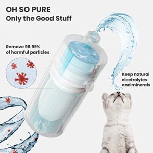 CAT CARE Cat Water Fountain - 84oz/2.5L Automatic Pet Water Fountains Bowl Dispenser for Cat Dog Drinking with Patented Filtration Tech, 3 Months Filter, Ultra Quiet, Removes Various Impurities