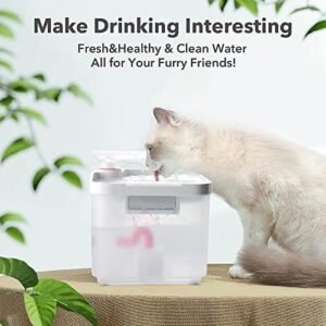 CAT CARE Cat Water Fountain - 84oz/2.5L Automatic Pet Water Fountains Bowl Dispenser for Cat Dog Drinking with Patented Filtration Tech, 3 Months Filter, Ultra Quiet, Removes Various Impurities