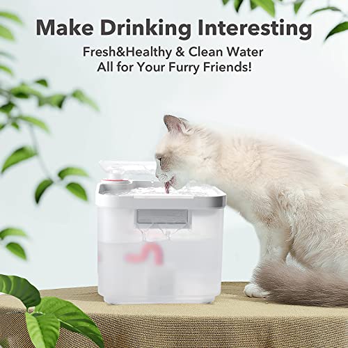 CAT CARE Cat Water Fountain - 84oz/2.5L Automatic Pet Water Fountains Bowl Dispenser for Cat Dog Drinking with Patented Filtration Tech, 3 Months Filter, Ultra Quiet, Removes Various Impurities