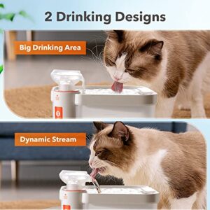 CAT CARE Cat Water Fountain - 84oz/2.5L Automatic Pet Water Fountains Bowl Dispenser for Cat Dog Drinking with Patented Filtration Tech, 3 Months Filter, Ultra Quiet, Removes Various Impurities