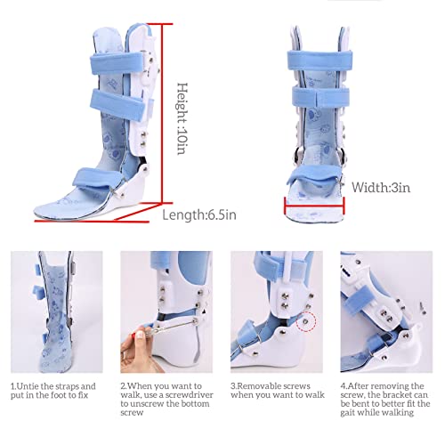 Tairibousy Kids AFO Drop Foot Brace Children Ankle Foot Orthosis for Toddler Pediatric Afo Night Splint Othopedic Baby Drop Foot Support Walking with Shoes or Sleeping （Left）