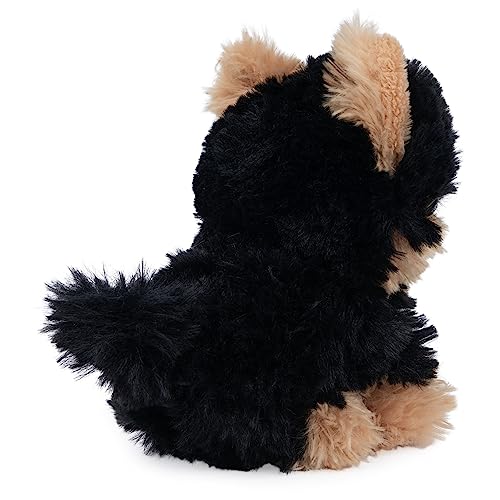 GUND Boo, The World’s Cutest Dog, Boo & Friends Collection Yorkie Puppy, Stuffed Animal for Ages 1 and Up, 5”