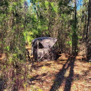 Seeutek Hunting Blind, See Through Hunting Blinds 270 Degree with Carrying Bag, 3 Person Pop Up Ground Blinds for Deer Hunting, Portable Durable Deer Blind for Hunting.