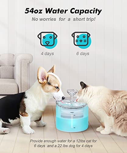 NPET WF100 Cat Water Fountain, 54oz/1.6L Automatic Pet Fountain Cat Water Dispenser with 2 Flow Modes, Light Quiet Pump for Cats (Adapter Not Included)