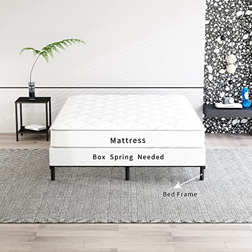 Hafenpo Metal Bed Frame - Sturdy Platform Bed Frame Heavy Duty Non-Slip Black Bed Frame 9 Leg Support Easy to Assemble Suitable for Any Space Queen Size